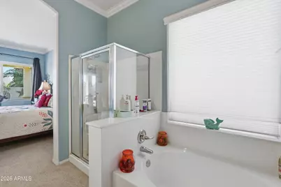 9251 E Princess Drive, Mesa, AZ 85207 - Photo 27