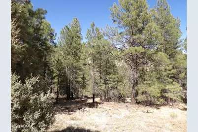 1601 Moqui Drive #77, Happy Jack, AZ 86024 - Photo 5
