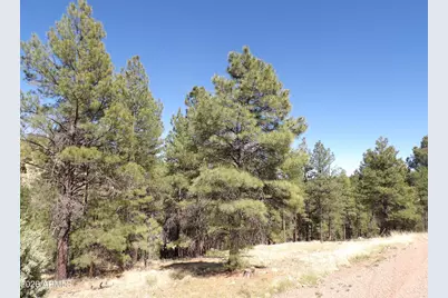 1601 Moqui Drive #77, Happy Jack, AZ 86024 - Photo 3