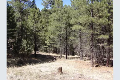 1601 Moqui Drive #77, Happy Jack, AZ 86024 - Photo 7