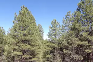 1601 Moqui Dr, Happy Jack, AZ 86024 - Photo 1