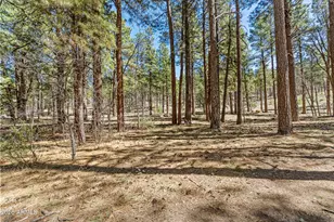 1093 Redwall Way, Williams, AZ 86046 - Photo 13