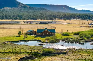 216 County Road 2311 --, Alpine, AZ 85920 - Photo 43