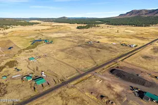 216 County Road 2311 --, Alpine, AZ 85920 - Photo 49