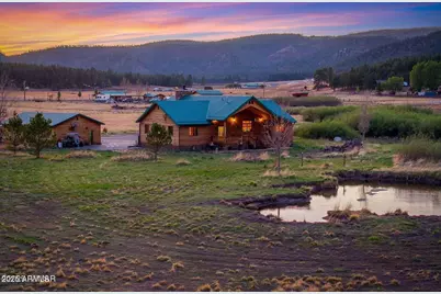 216 County Road 2311 --, Alpine, AZ 85920 - Photo 1