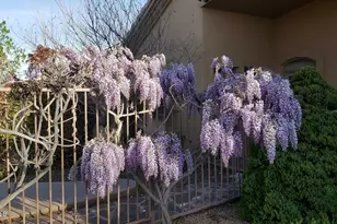 5721 Honeysuckle Rd, Prescott, AZ 86305 - Photo 95