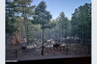 2311 S Sierra Park Trail, Show Low, AZ 85901 - Photo 43