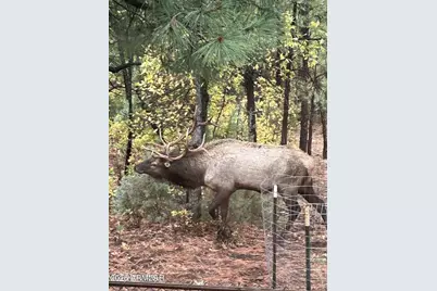 2311 S Sierra Park Trail, Show Low, AZ 85901 - Photo 39