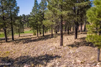 2900 S Solitaires Canyon Drive #345, Flagstaff, AZ 86005 - Photo 5