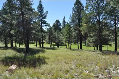 2900 S Solitaires Canyon Drive #345, Flagstaff, AZ 86005 - Photo 1