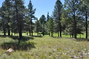 2900 S Solitaires Canyon Dr, Flagstaff, AZ 86005 - Photo 1