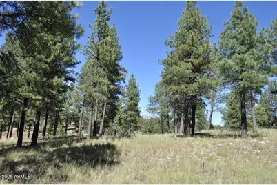 2900 S Solitaires Canyon Drive #345, Flagstaff, AZ 86005 - Photo 9