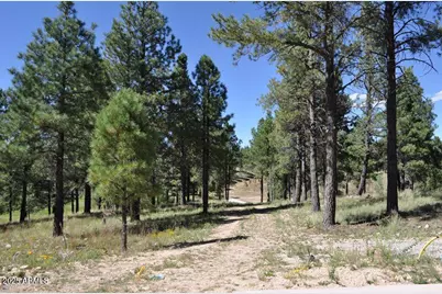 2900 S Solitaires Canyon Drive #345, Flagstaff, AZ 86005 - Photo 15