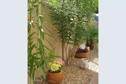 3332 N Sunaire, Mesa, AZ 85215 - Photo 3