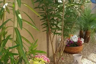 3332 N Sunaire, Mesa, AZ 85215 - Photo 3