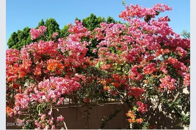 3332 N Sunaire, Mesa, AZ 85215 - Photo 21