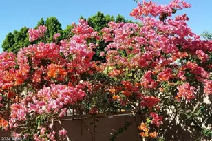 3332 N Sunaire, Mesa, AZ 85215 - Photo 21