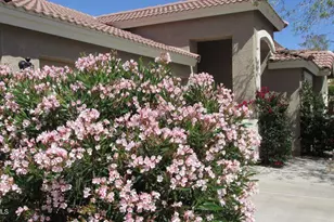 3332 N Sunaire, Mesa, AZ 85215 - Photo 13