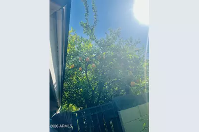 5230 W Jupiter Way N, Chandler, AZ 85226 - Photo 25