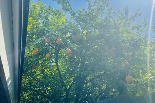 5230 W Jupiter Way N, Chandler, AZ 85226 - Photo 25