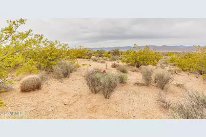 8699 N Cochise Place #430, Kingman, AZ 86401 - Photo 5