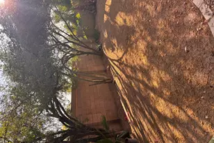 979 E Brentrup Dr, Tempe, AZ 85283 - Photo 31