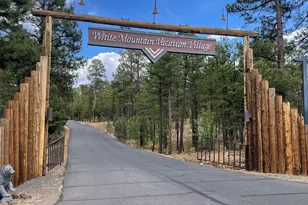 3880 S Mule Skinner Loop, Show Low, AZ 85901 - Photo 19