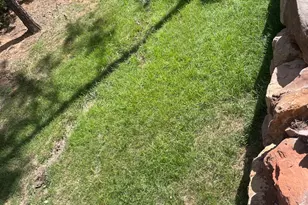 3880 S Mule Skinner Loop, Show Low, AZ 85901 - Photo 17