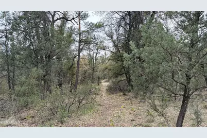 117 N Rifle Barrel Road #41, Young, AZ 85554 - Photo 3