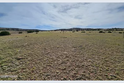 1470 E Concho Highway #-, Concho, AZ 85924 - Photo 3