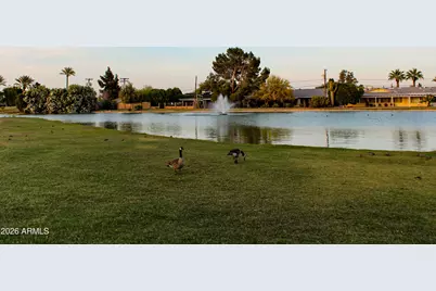 10825 W Hope Drive, Sun City, AZ 85351 - Photo 29