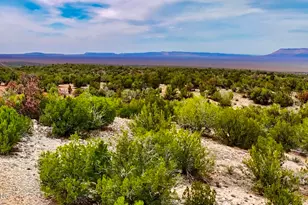 31326 Cll Barril 9 34 Acres --, Seligman, AZ 86337 - Photo 1