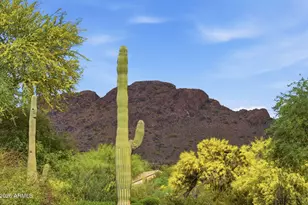 5482 S Pyrite Cir, Gold Canyon, AZ 85118 - Photo 29