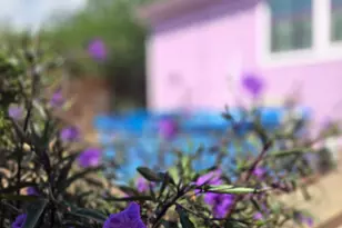 114 B St, Bisbee, AZ 85603 - Photo 39