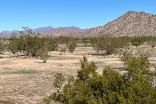 0070 W Western Meadows Ln, Maricopa, AZ 85139 - Photo 1