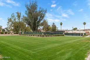 4433 E Yawepe St, Phoenix, AZ 85044 - Photo 33