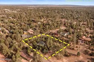 2952 Country View Ln, Overgaard, AZ 85933 - Photo 73