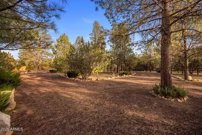 2952 N Country View Lane, Overgaard, AZ 85933 - Photo 61