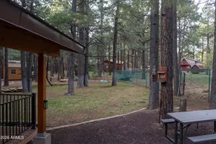1895 Ferret Cir, Forest Lakes, AZ 85931 - Photo 31