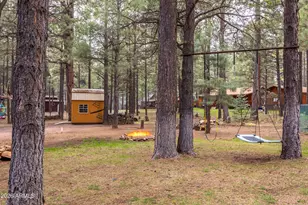 1895 Ferret Cir, Forest Lakes, AZ 85931 - Photo 27