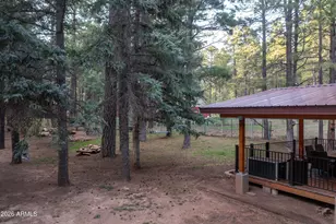 1895 Ferret Cir, Forest Lakes, AZ 85931 - Photo 33