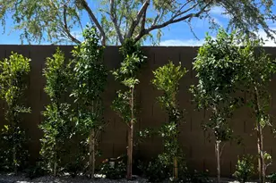 31738 N 24th Dr Dr, Phoenix, AZ 85085 - Photo 27