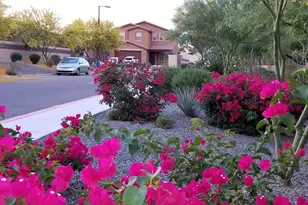 2248 E Ottawa Ln, Phoenix, AZ 85024 - Photo 69