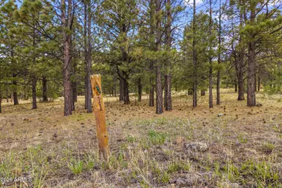 44 N N1330 -- #11, Greer, AZ 85927 - Photo 3