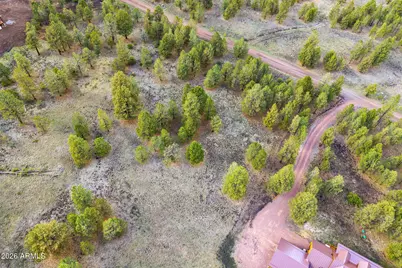 44 N N1330 -- #11, Greer, AZ 85927 - Photo 9