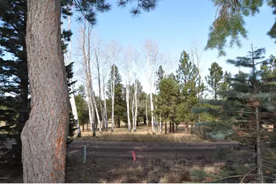 44 N N1330 -- #11, Greer, AZ 85927 - Photo 23