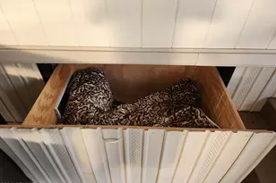 204 E Gila Dr, Florence, AZ 85132 - Photo 81