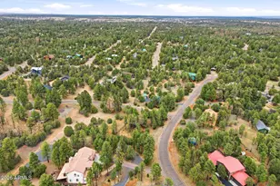 2934 Ransack Rd, Overgaard, AZ 85933 - Photo 39