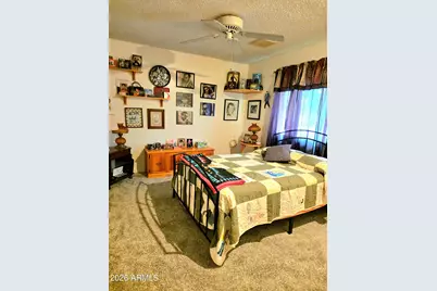 10325 W Floriade Drive, Sun City, AZ 85351 - Photo 25