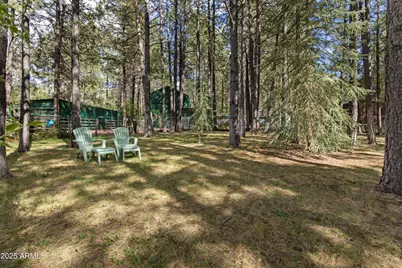 3910 Larson Loop, Forest Lakes, AZ 85931 - Photo 45